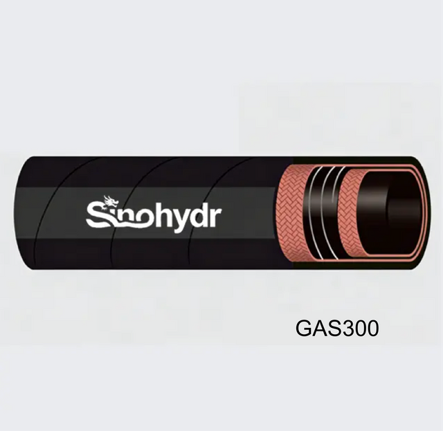 Gas hose